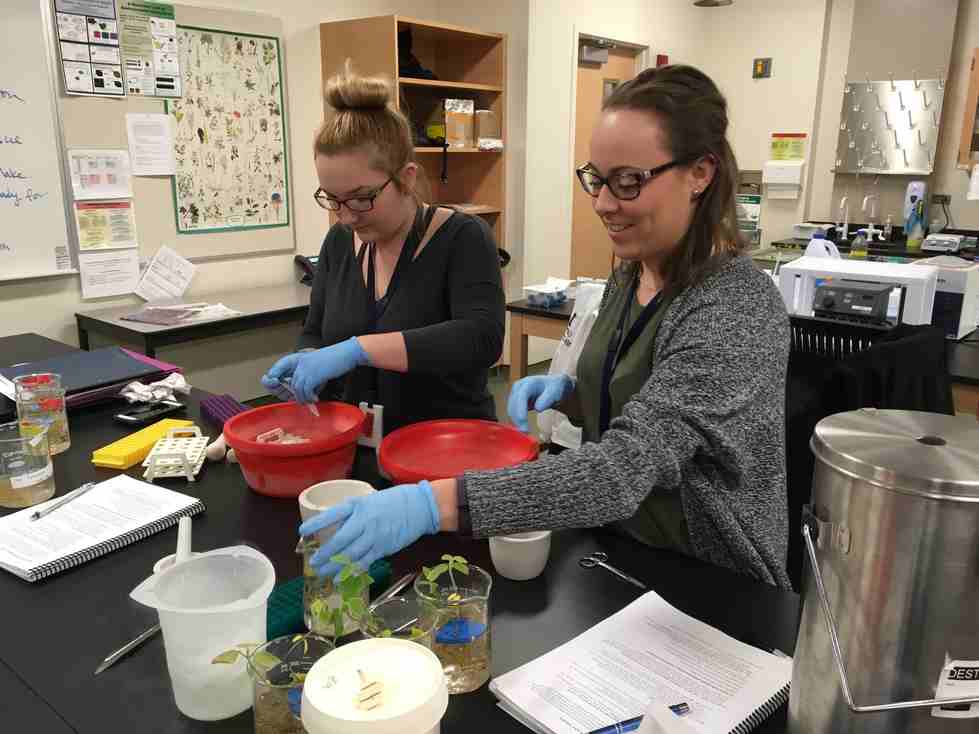 student treating soybean plants with salt water